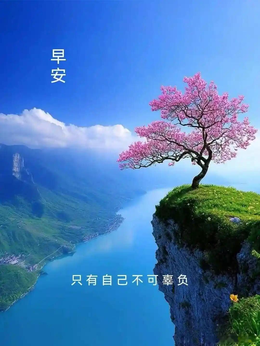 早安[比心][比心]朋友们[玫瑰][玫瑰]​​​