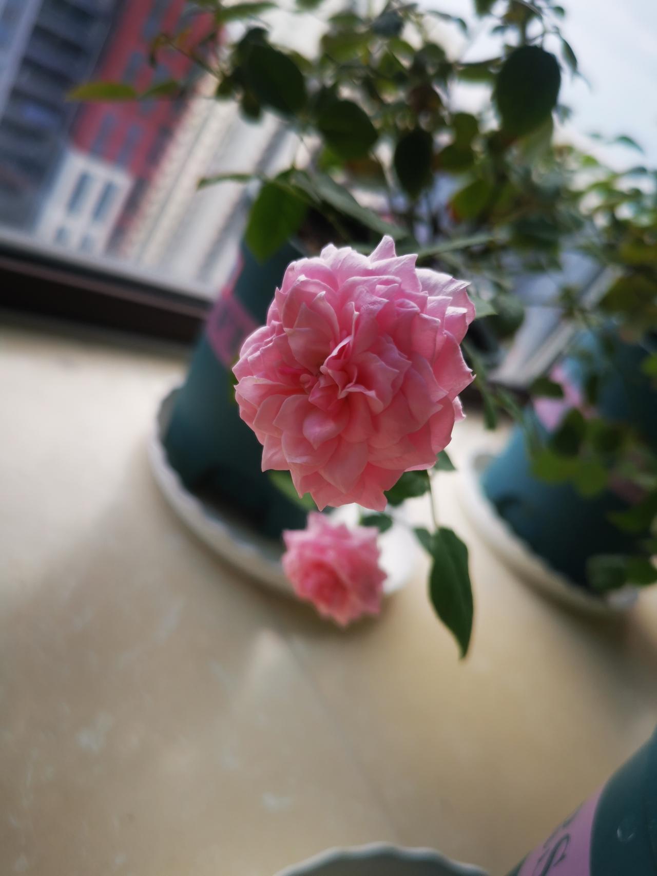 请大家评评理！小区群里，半夜十一点有业主喊话：楼上的邻居能不能让孩子别跑了，我们