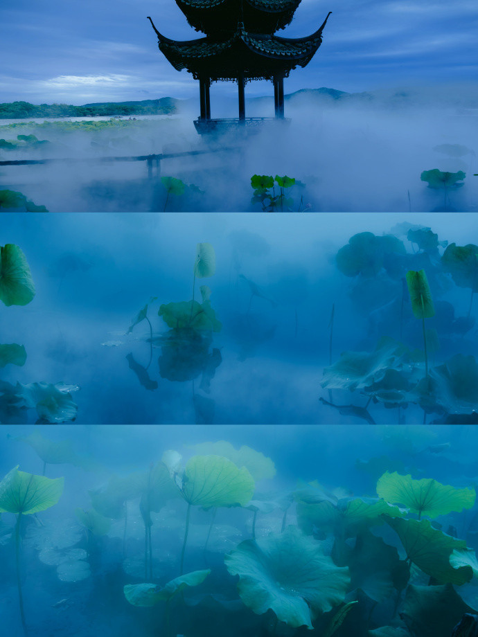 在杭州，天青色的烟雨中，漫步于西湖边，感受那一抹静谧与诗意。每一滴雨水都似乎在诉
