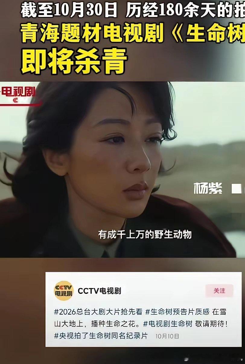 杨紫最聪明，不掺合那些乱七八糟的盛典和周年，不用打扮的花枝招展去应酬，更不用和那