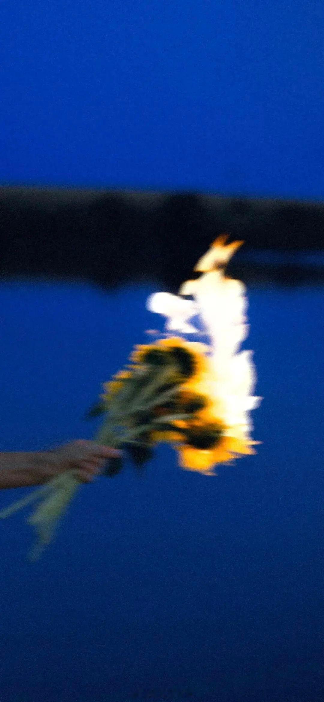 黑夜长尽，他是救赎，也是深渊。——苏以白《路尽繁花》晚安推文​​​