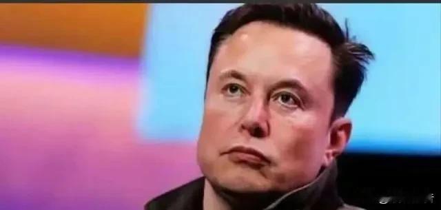 “日本会从地球上消失。”这话不是疯子说的，是马斯克。2025年他撂下这句话时