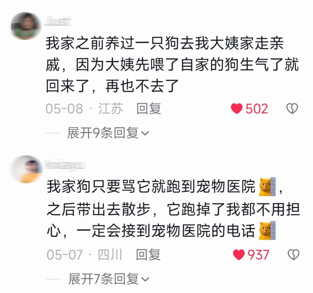原来狗狗也会走亲戚​​​
