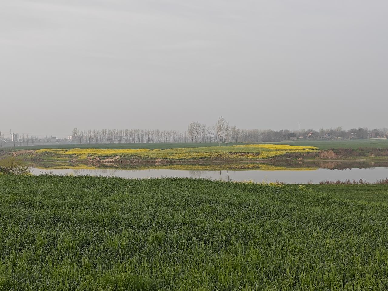 为什么有的人考公考编几次没考上？而有的一次能上岸？这个问题特别实在，其实不是“