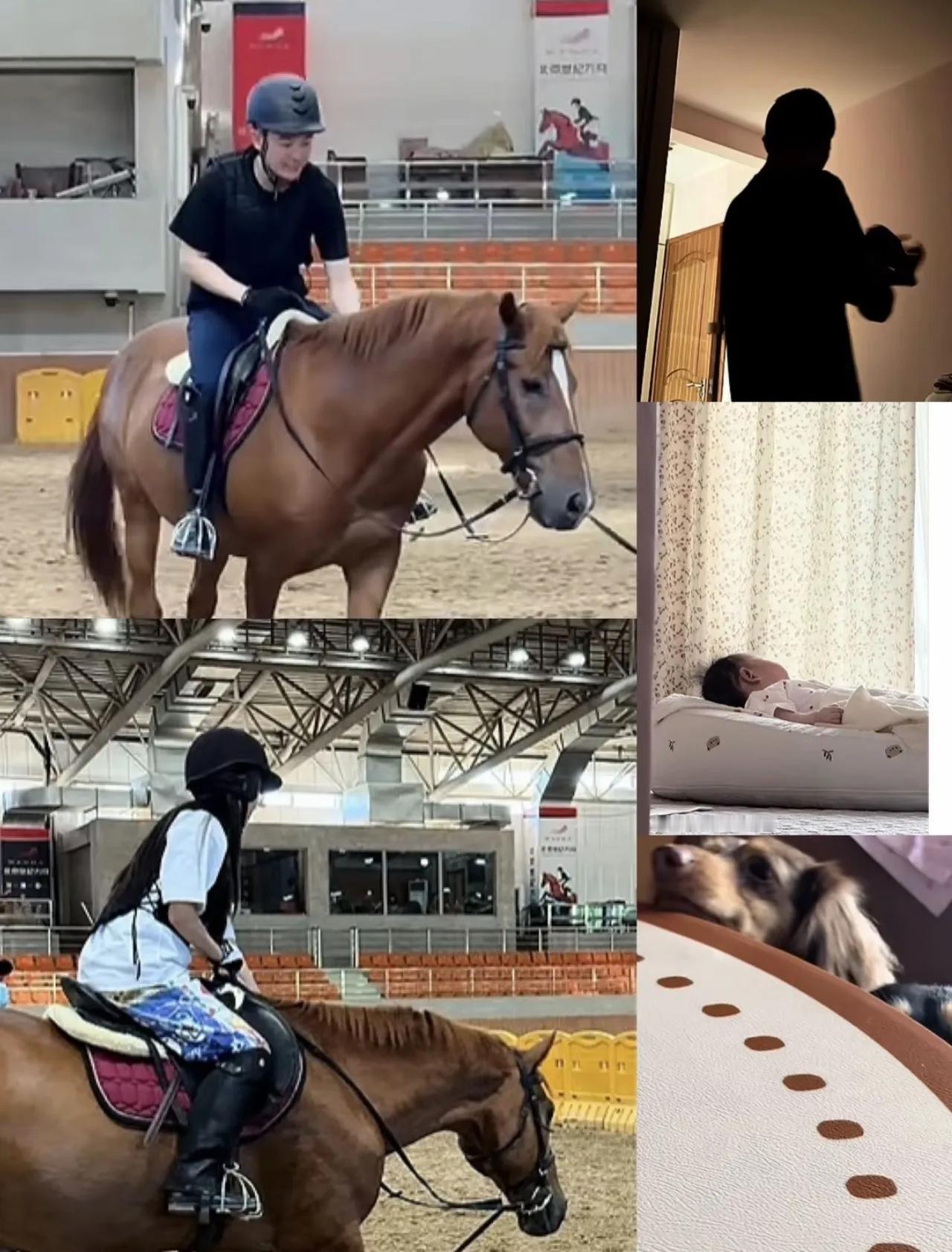 董老三太幸福了！董董新发生活日常，哄哄董礼貌，骑骑马遛遛狗学学习，生活充实的