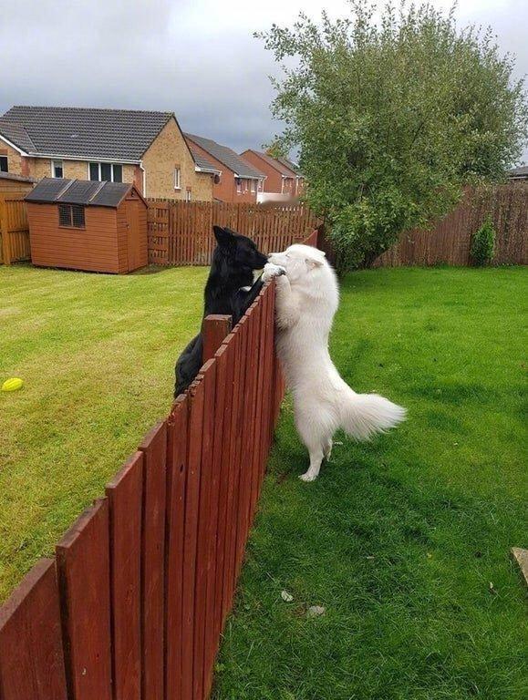 这张照片有故事