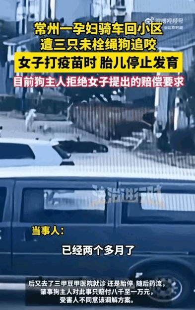 常州一孕妇在骑车时遭三只宠物狗追咬，打疫苗后胎儿停止发育，只好做了药流。狗主人拒