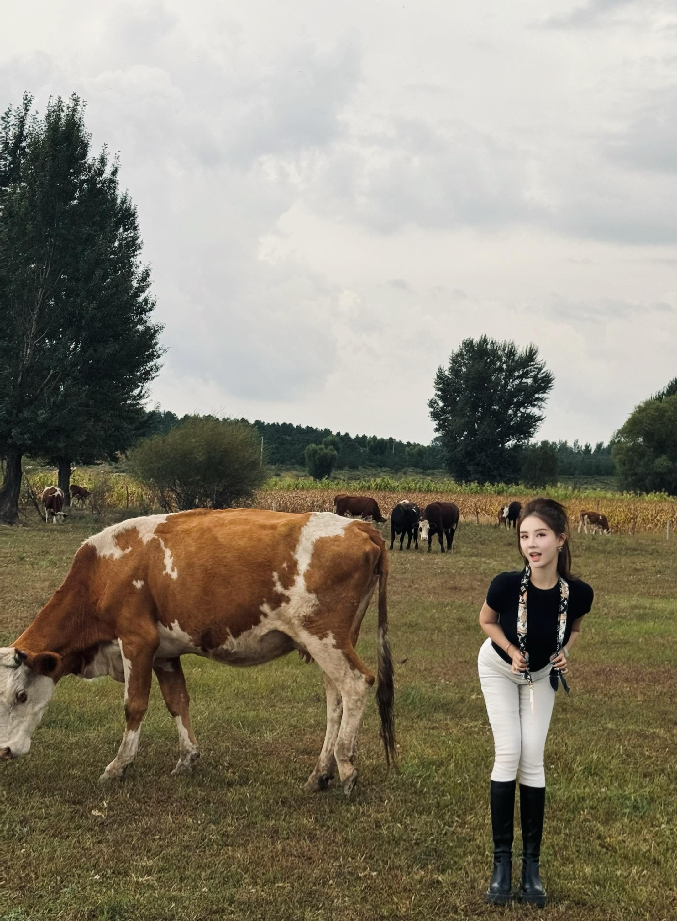 进入牛市🐮