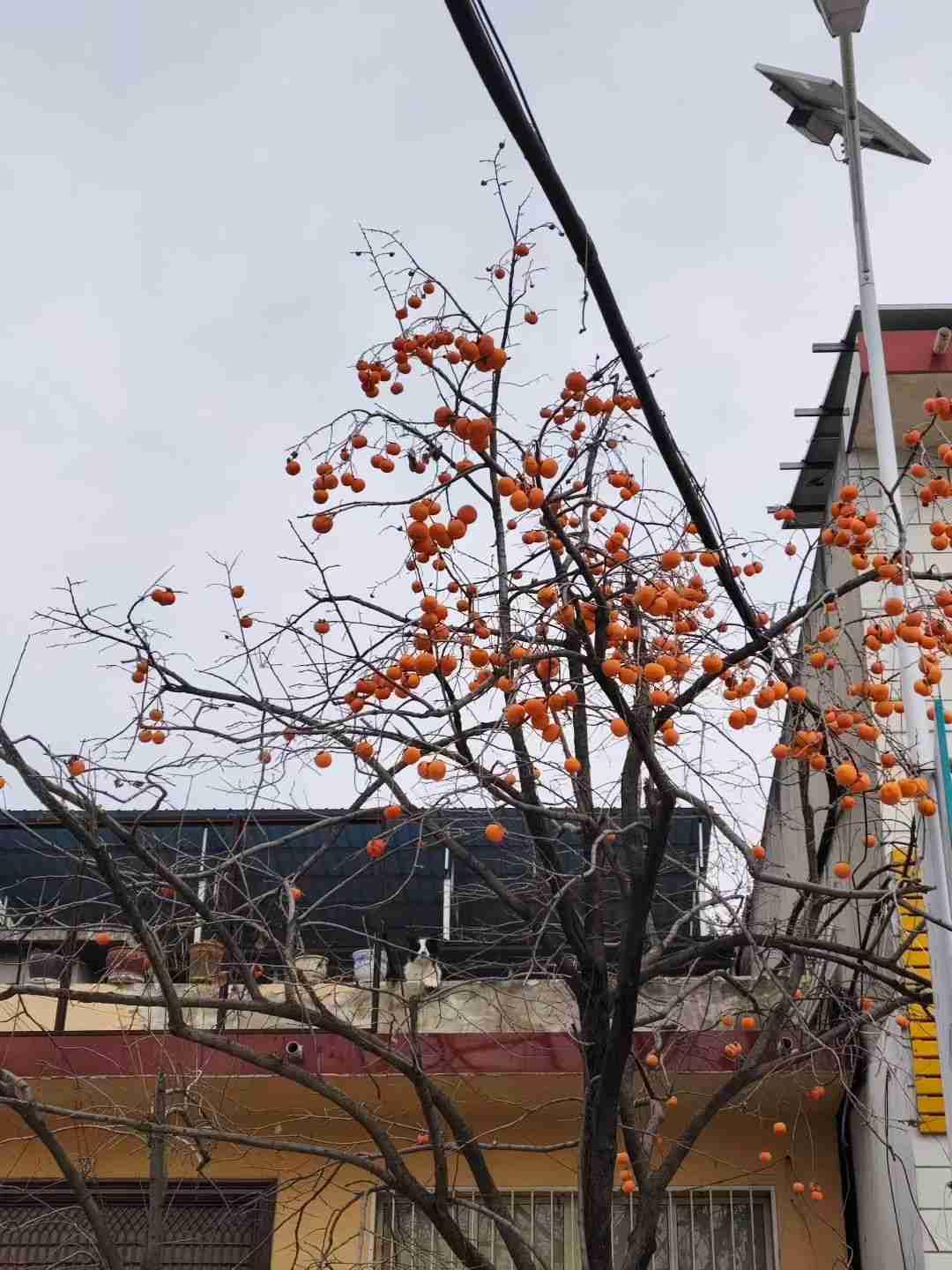 满怀期待和热爱永远是对生活最好的交代照顾好自己的健康和情绪人生这一趟你就赢