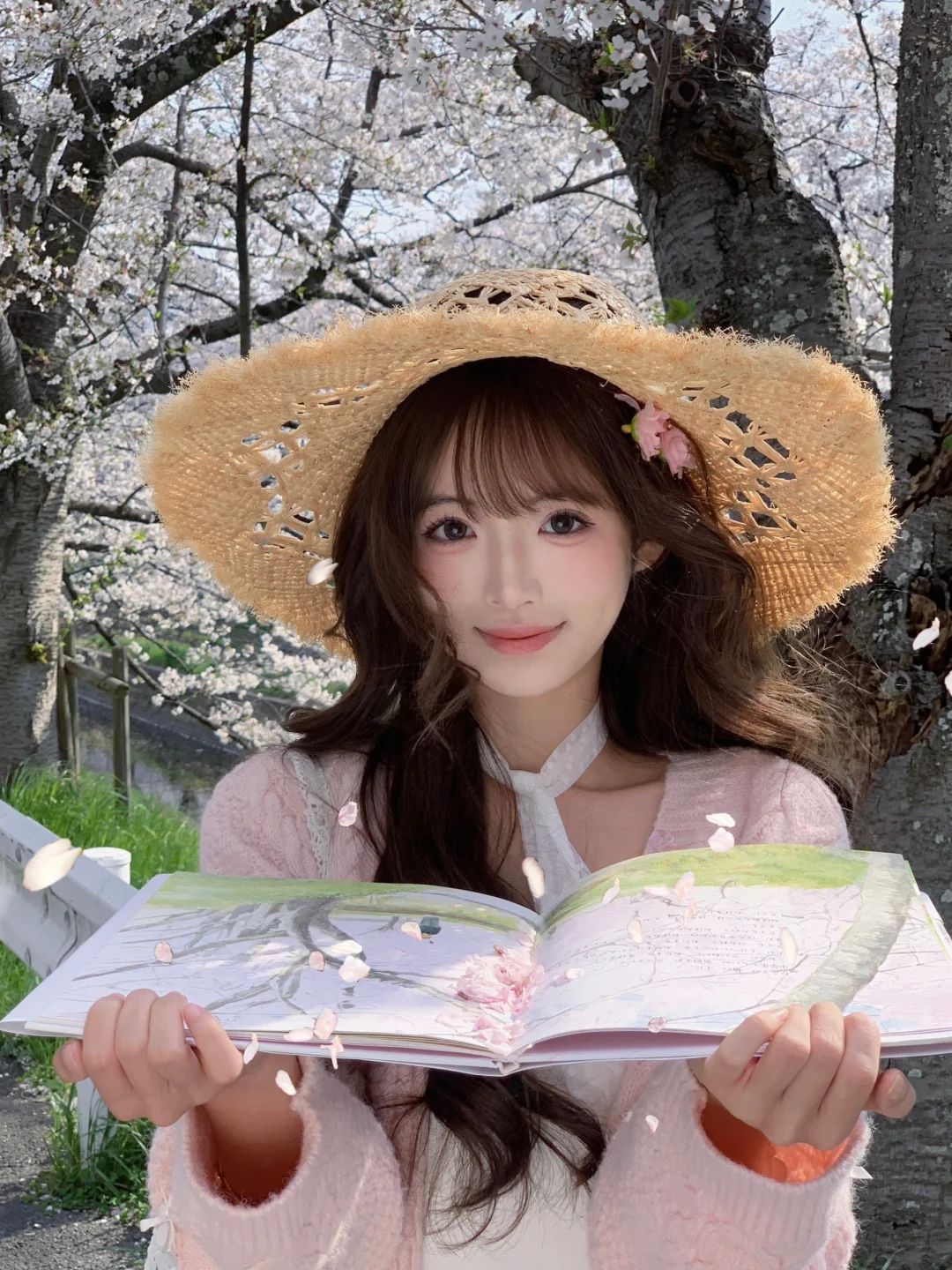 现在发樱花还有人看吗