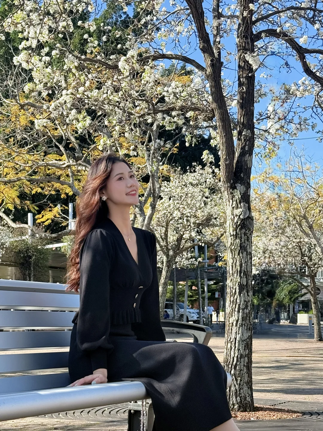 悉尼的春天终于来了！周末可以去这里赏花🌸