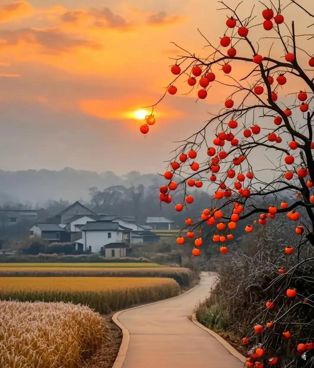 最高级的养生就一个字:躲。1.躲人2.躲事3.躲气别不信，一把年纪