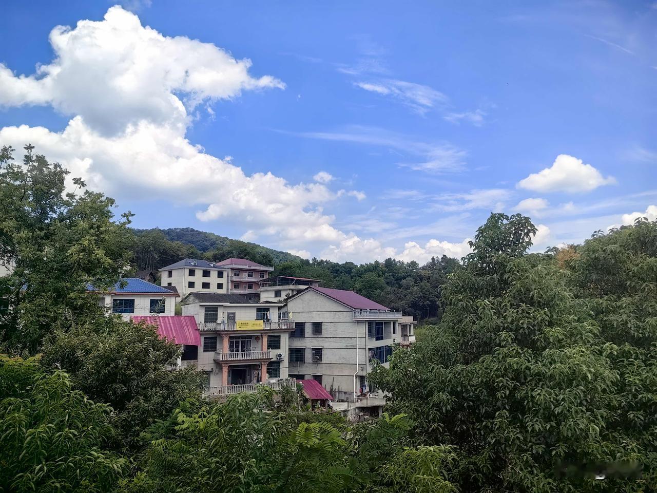 生活感悟：烟火日常，最抚人心。最近，我发现自己越来越偏爱热气腾腾的烟火生活。