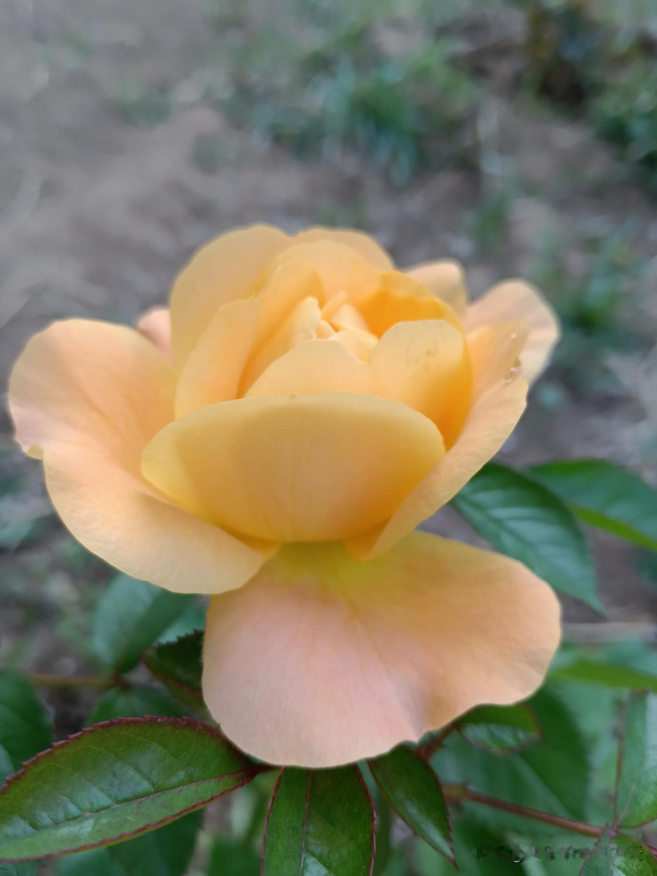 越来越有钱的家庭，都有这十个生活习惯：第一：不随便去别人