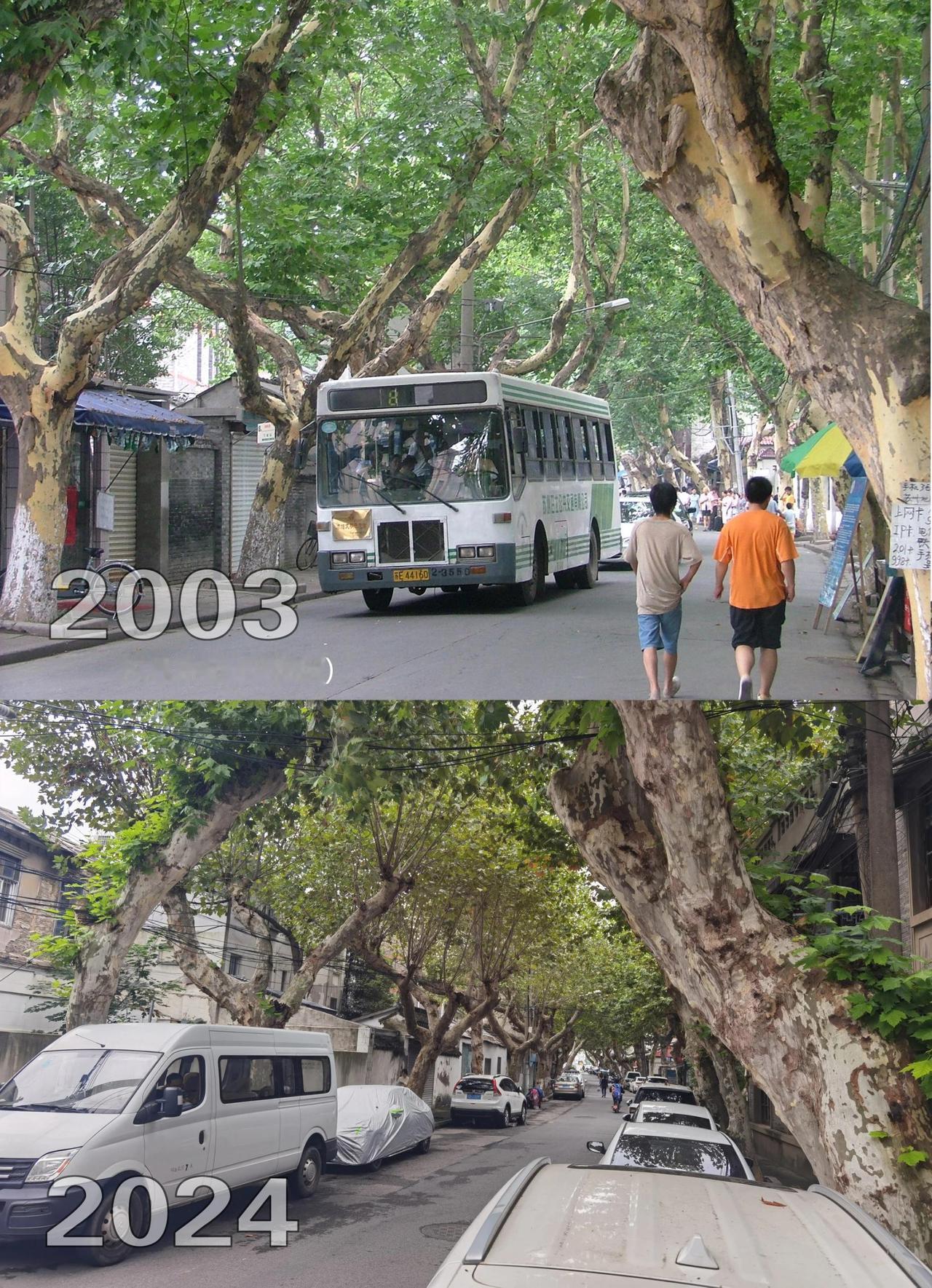 苏州春暖花开，那时那景，此时此景！你在哪。苏州春暖花开，那时那景，此时此景！你在