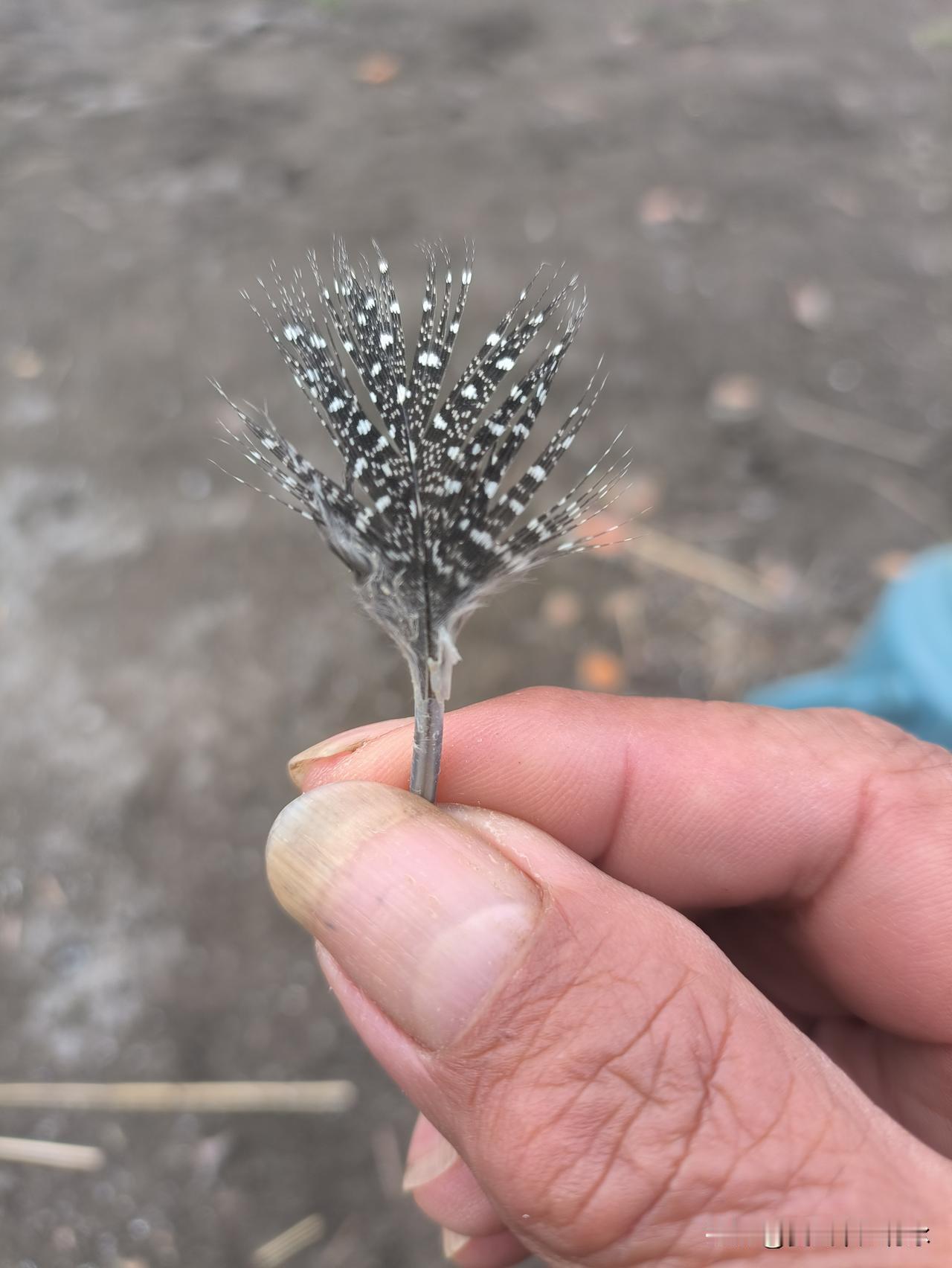 自杀真的能让一切都结束吗？每次看到或听到有人自杀的消息，总觉得这样的人不是愚昧