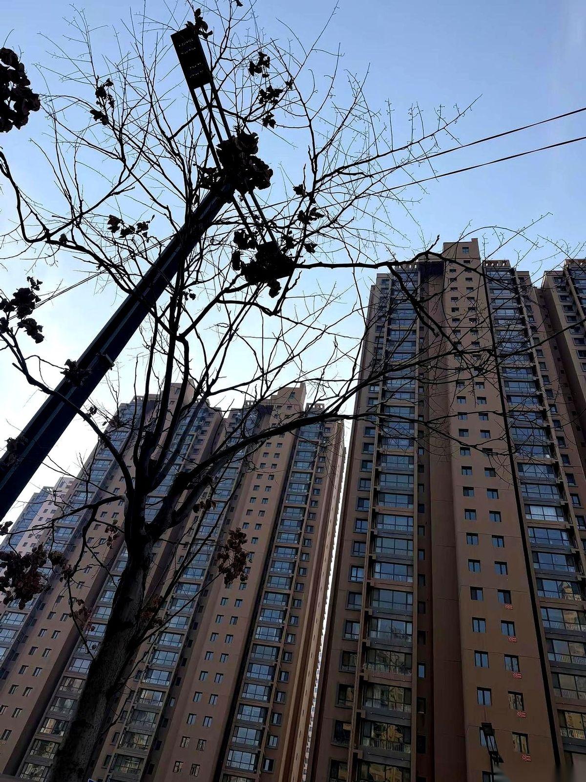 “一平一万出头。”朋友云淡风轻地搅着咖啡，勺子碰到杯壁，叮当响。我端着杯子的手