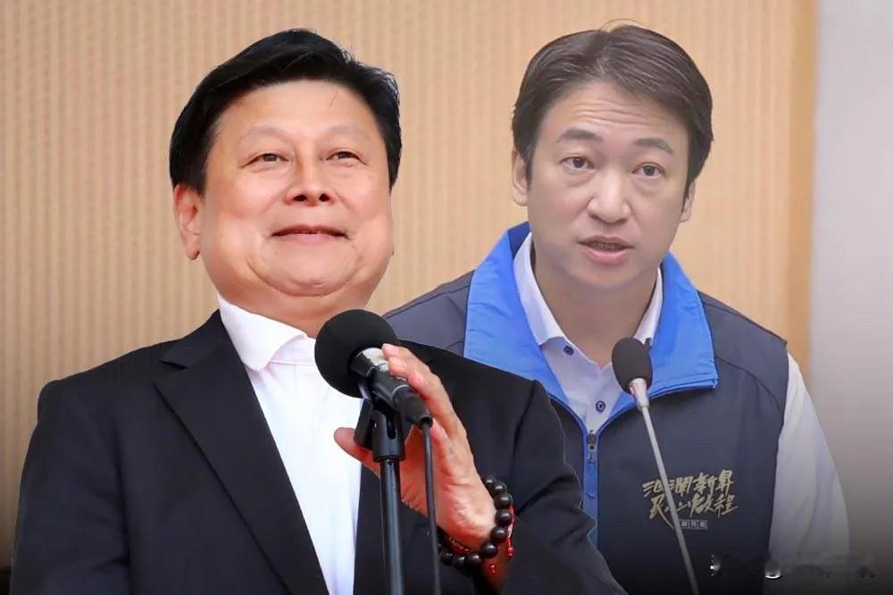 魏家参选国民党花莲县长不保？2026年花莲县长选举，随着魏家出战，国民党