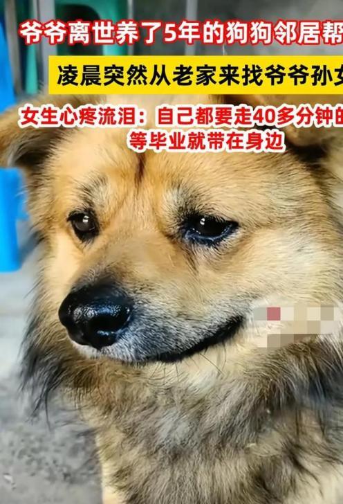 万物皆有灵！2025年6月11日发布，四川，一女生凌晨1点准备睡觉时，突然听到门