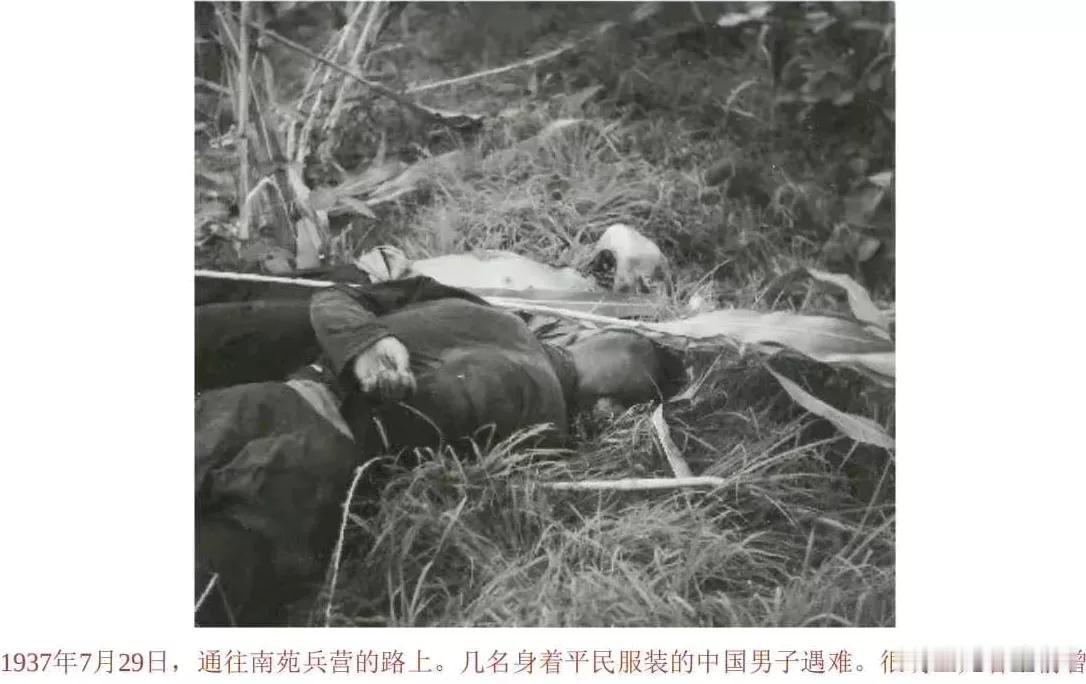 1937年7月28日，在南苑阵地失守后，担任国民革命军第29军132师师长的赵登