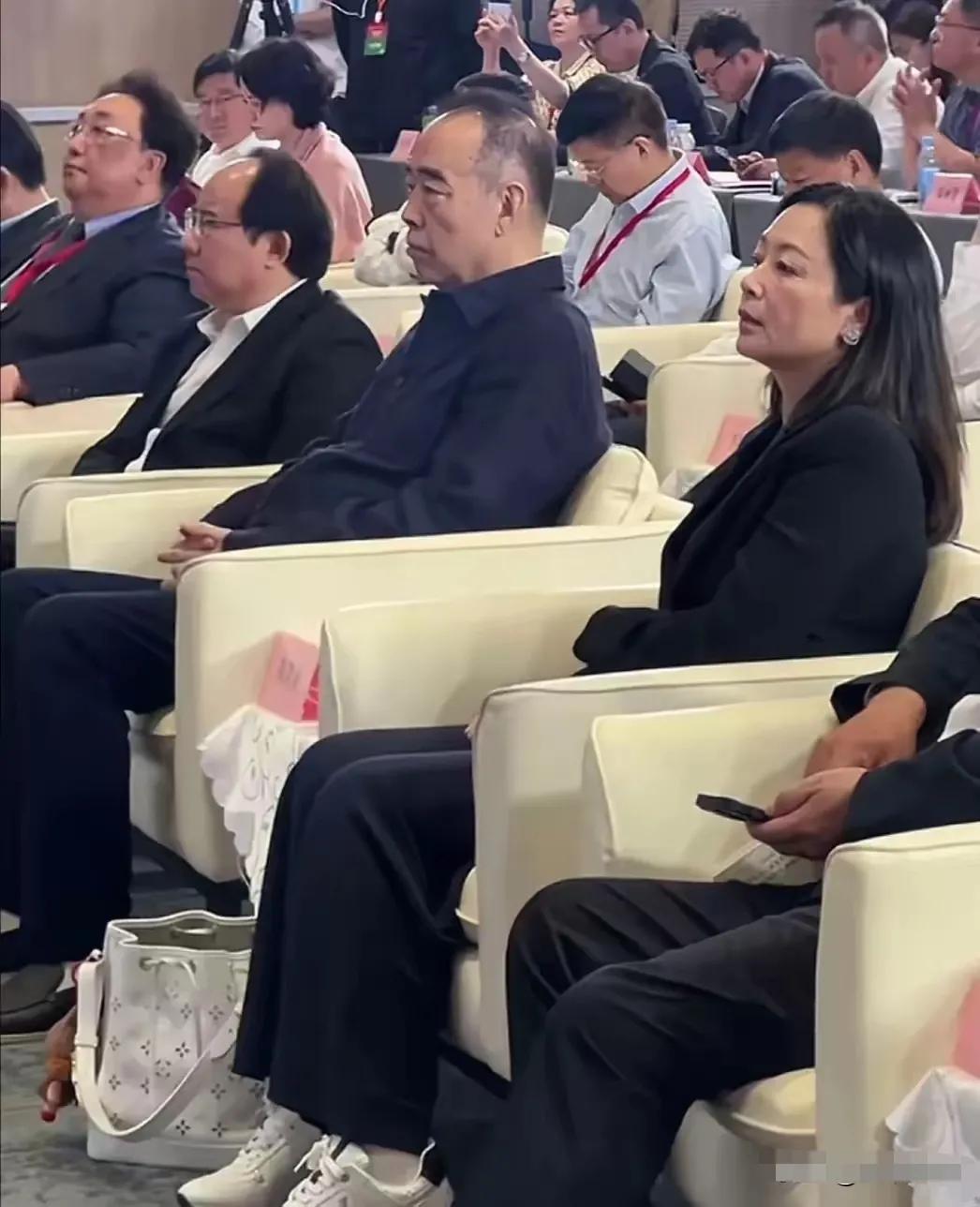 网友曝近日陈凯歌陈红夫妇到深圳参加某项活动，二人出行看来已经不像年轻人那样腿脚利