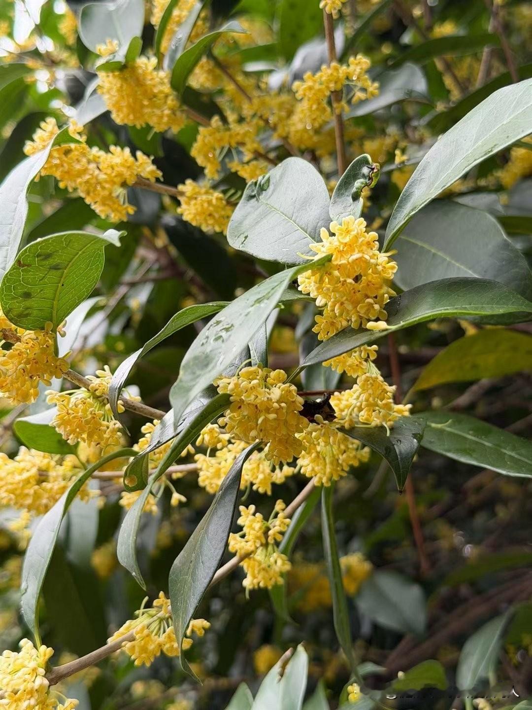 对男人来说，找个能睡在一张床上的女人，不费事儿；女人想找个搭伙睡觉的男人