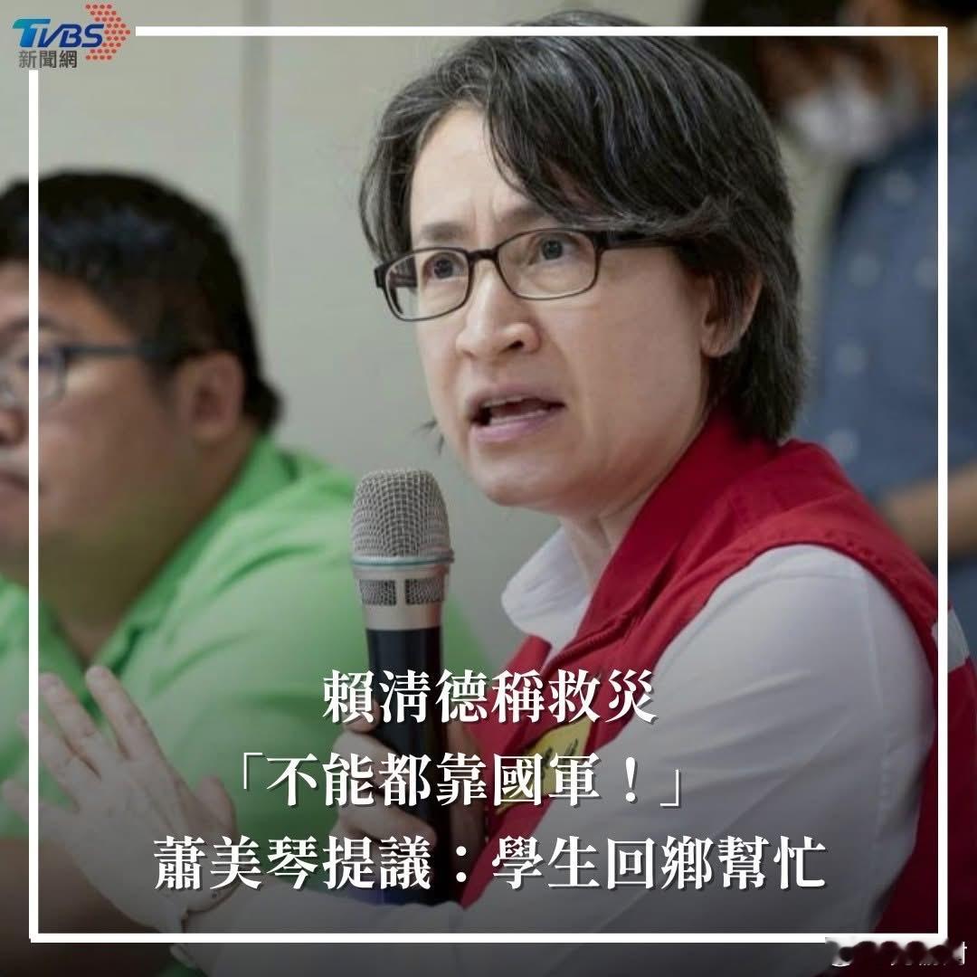 丹娜丝台风重创台南，赖清德日前南下勘灾，有灾民当面请求军队协助清运家中毁坏的大型