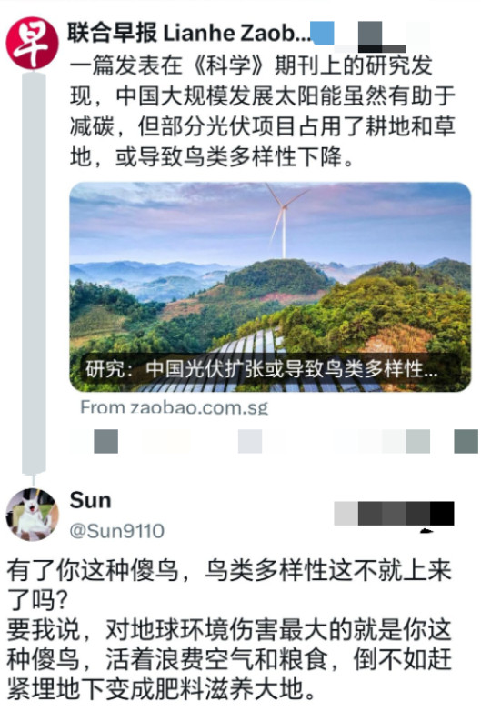 新加坡媒体批评中国新能源，称这会导致鸟类消失，却遭到中方网友神回复！新加坡《联合