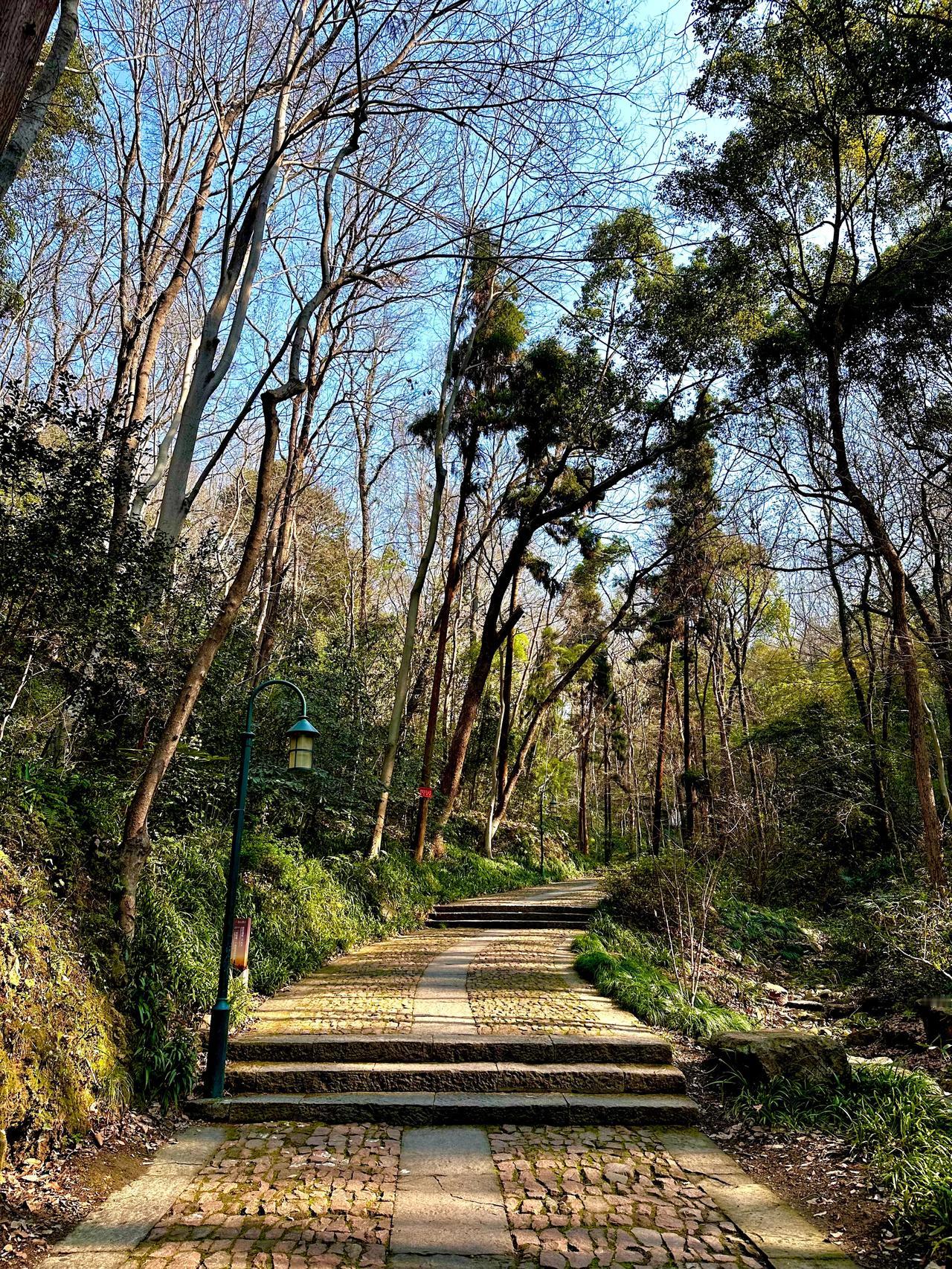 由西湖旁岳王庙的小路，慢慢走上宝石山。宝石山不高但是真的人少而且景也很美，可以完