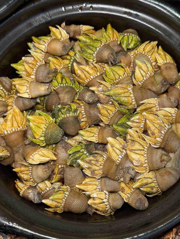 谁知道这个特色美食是哪里的？第一次见到，都有什么做法才好吃？
