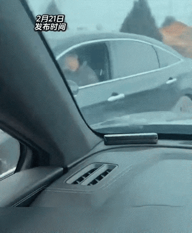 笑不活了，一舅舅驾车与外甥相遇，双方打过招呼后，外甥竟突然倒车堵住舅舅去路，随即