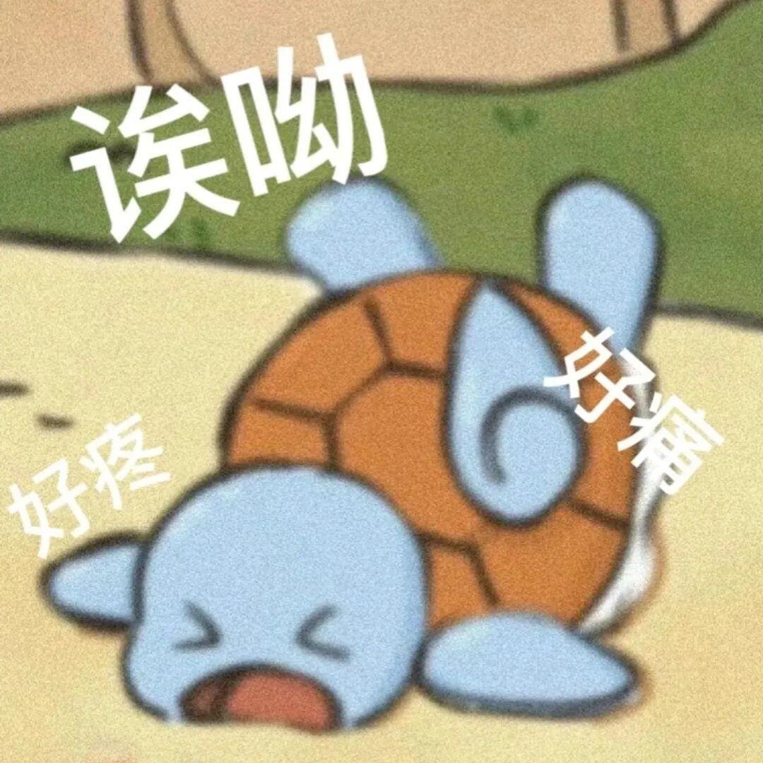 杰尼龟表情包:我来啦​​​