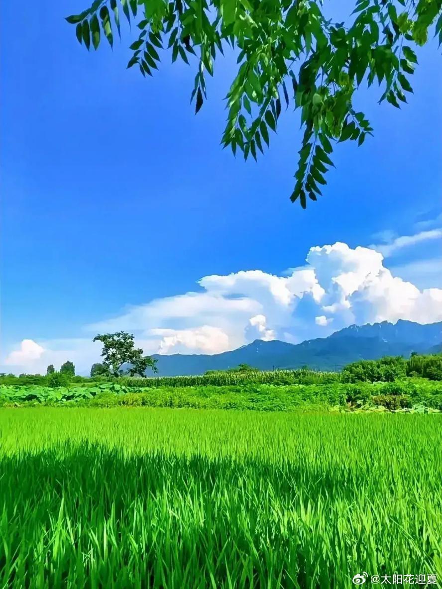 偏爱山野辽阔，看云漫青山，风拂湖水～