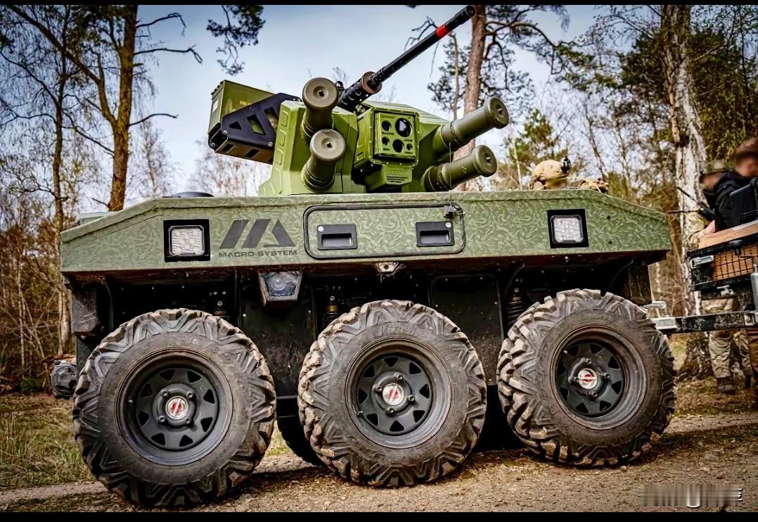 这款波兰Macro-System公司推出的UNL“妖精”（飞鱼ACE）无人作战平