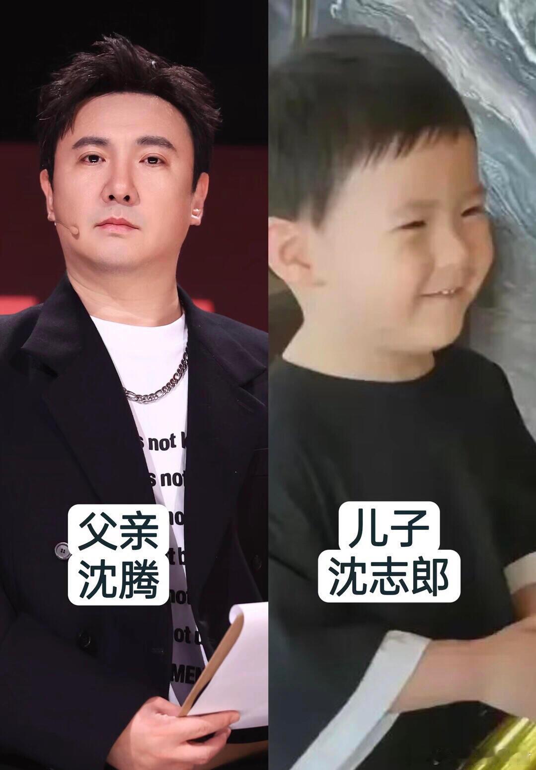 明星与儿子颜值对比照