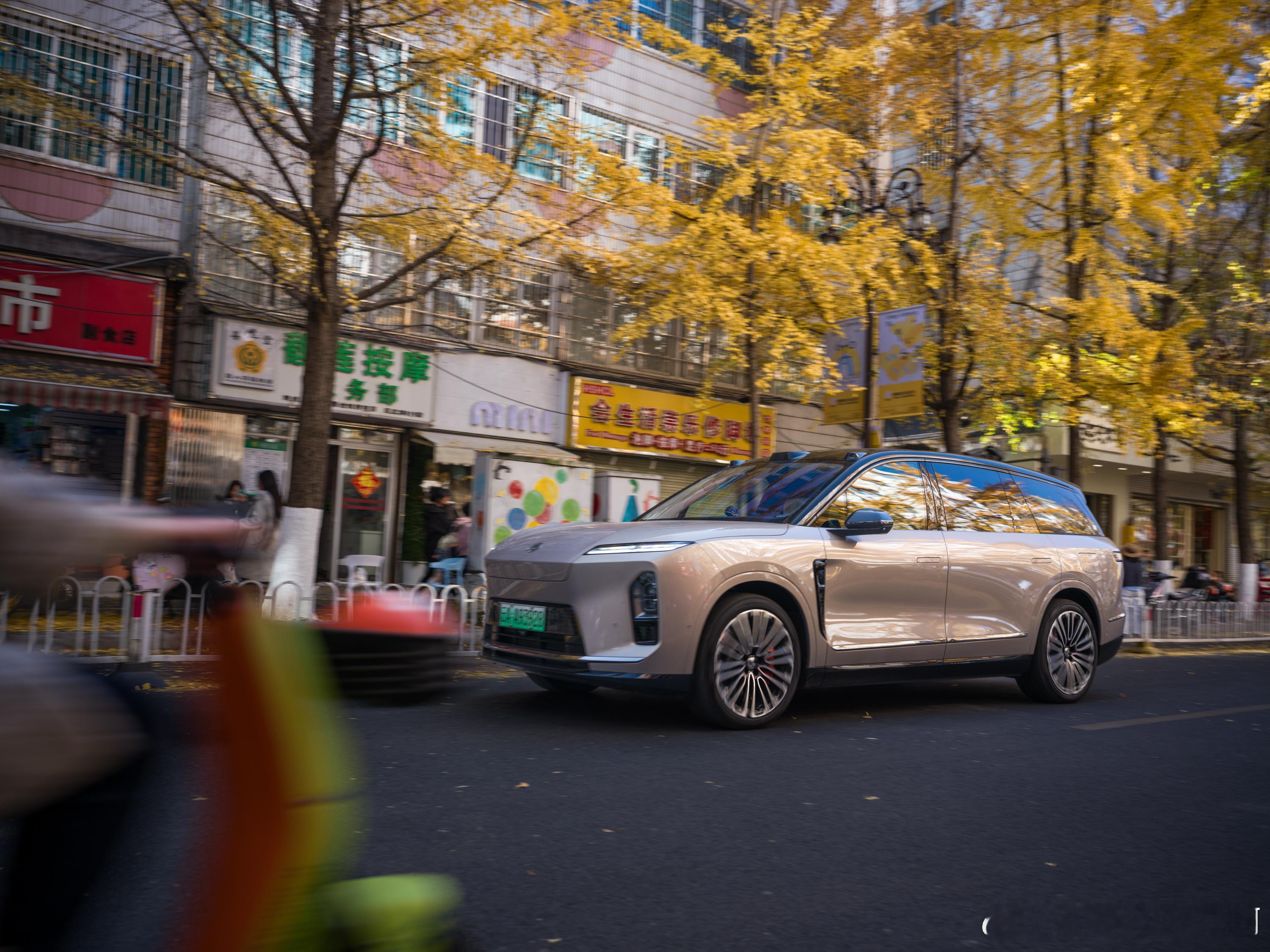 冬日，昆明，我的金色ES8。去了两个地方：一个是文林街，看枝桠与天空作画。一个是