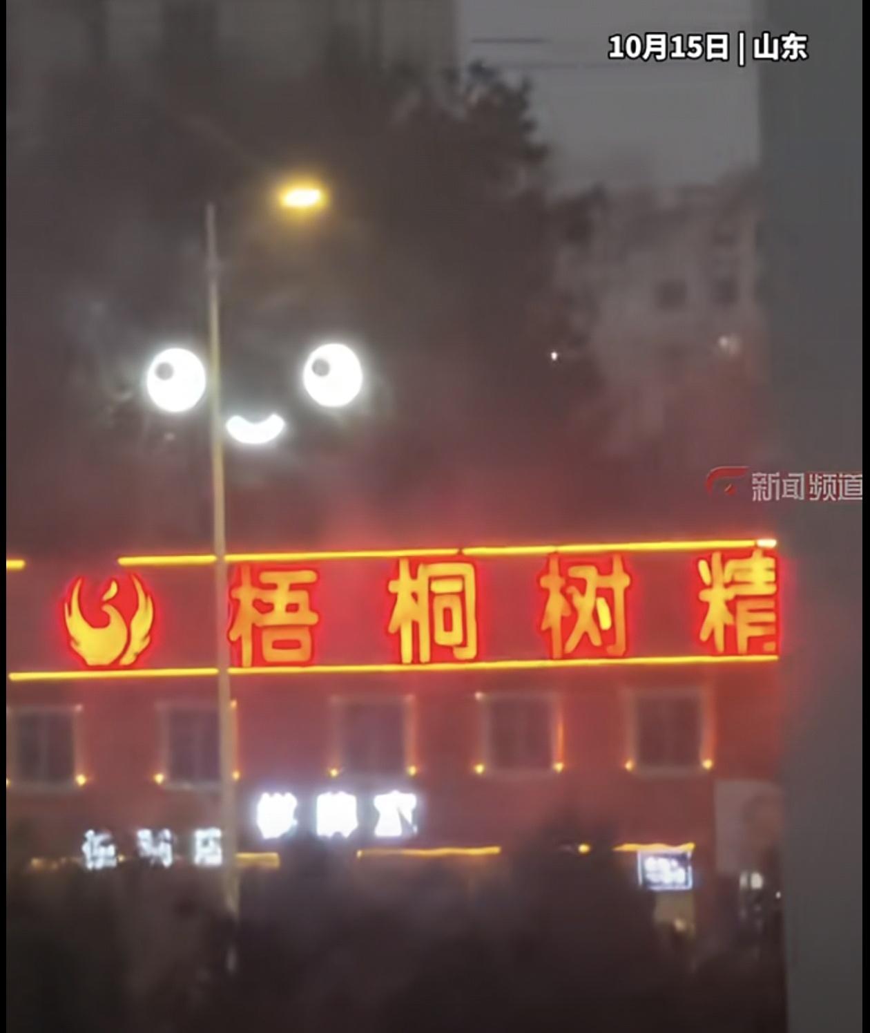 梧桐树精，吓了女业主一跳，哈哈。山东女房客晚上到阳台，突然发现窗外远处街道上，