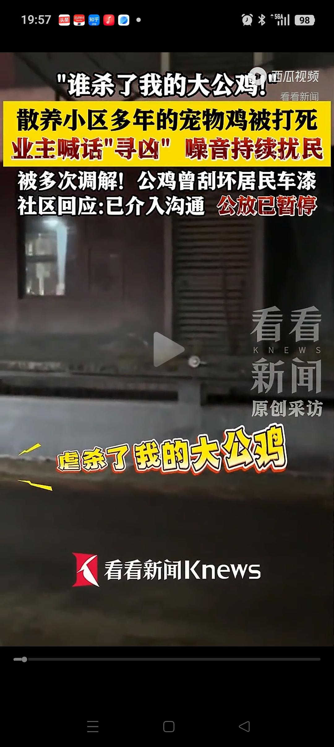 “不是谁闹谁有理”，北京某小区，一大妈养的大公鸡被人打死，她为了找到是谁干的。于