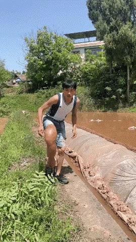 大夫给看看这病能治吗？