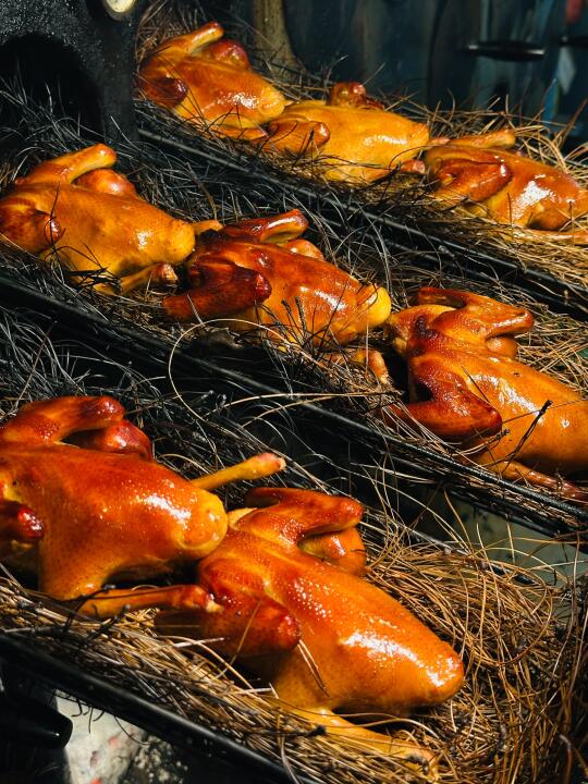 云南最好吃的松针叶烤乳鸽就在火锅店