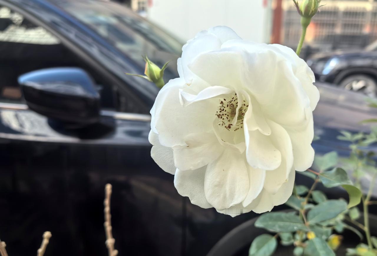 【热评】私德瑕疵德不配位干部被举报与异性深夜共处纪检介入官员前妻举报前