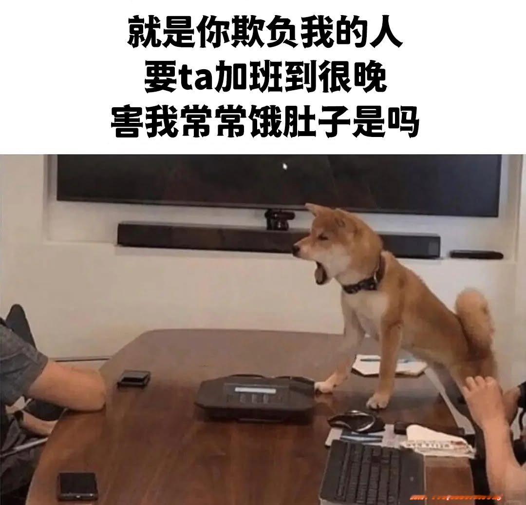 霸道柴柴meme​​​