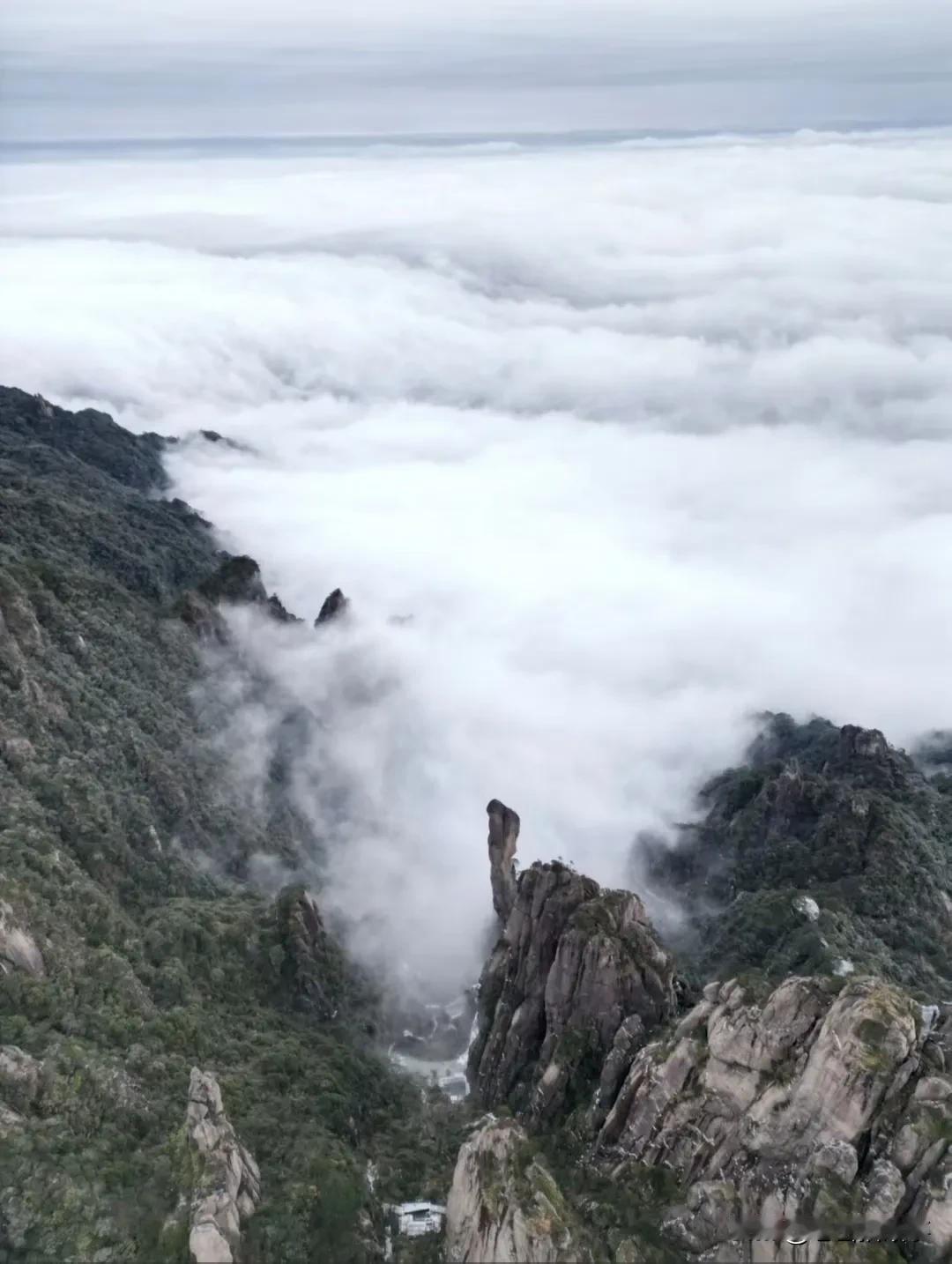 人间百态:《狗命要让狗来偿！》一天晚饭后，小区里的王大娘带着自己家的小白狗儿下