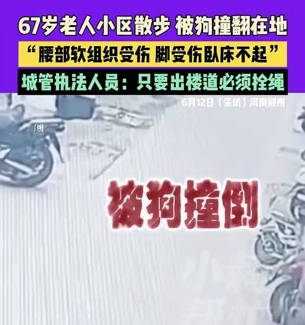 这下可说不清了，一67岁老人在小区散步的时候，没想到被两只玩耍的小狗撞倒