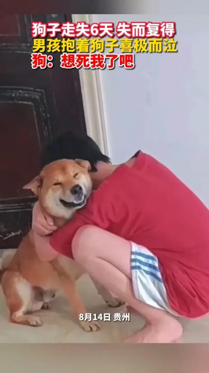 8月14日，贵州，一名小男孩蹲在地上，紧紧地抱着他的狗子，泪流满面。这只狗子走失
