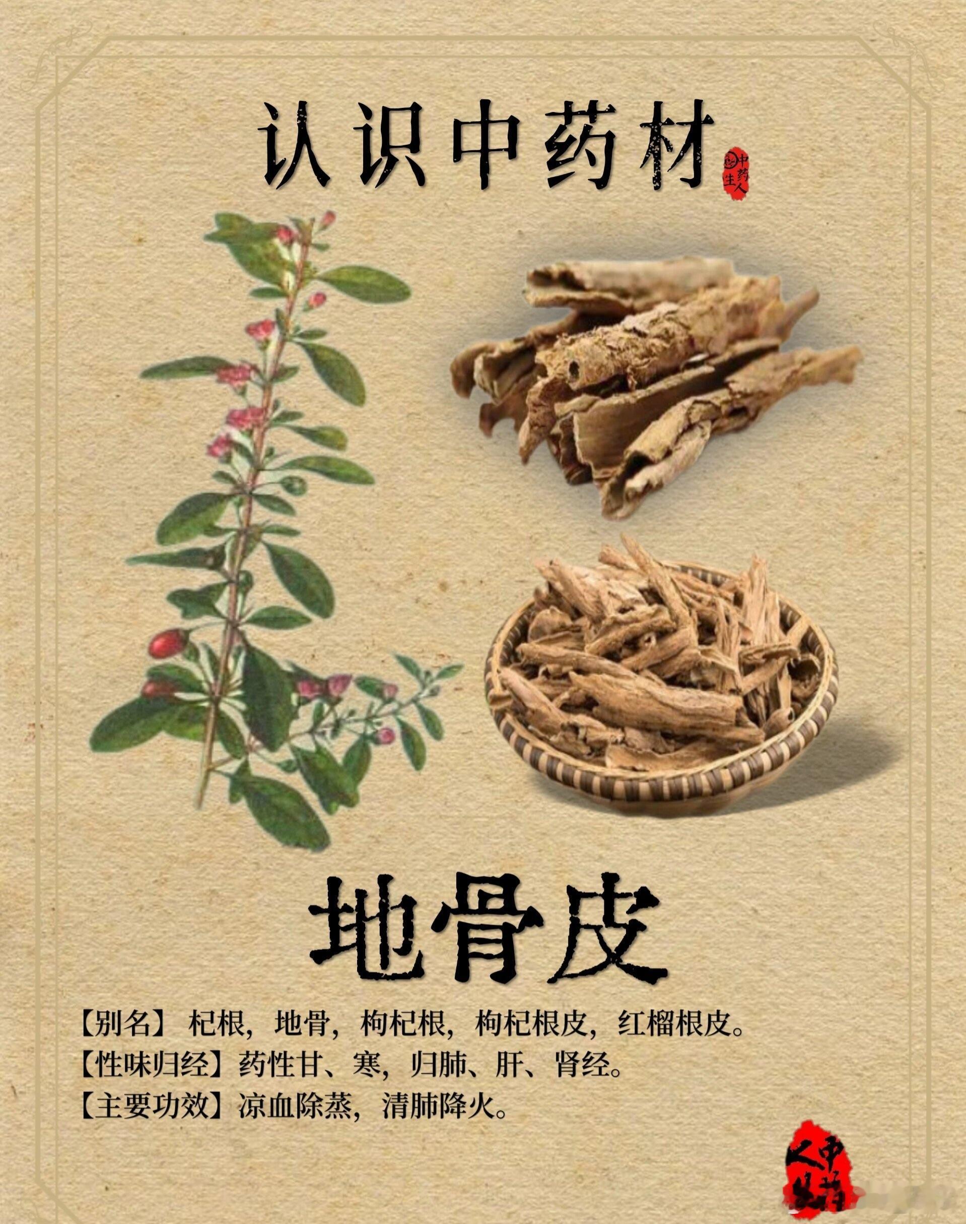 地骨皮饮是中医里一个较为常用的方剂，在不同的中医典籍及临床实践中，其配方可能会有