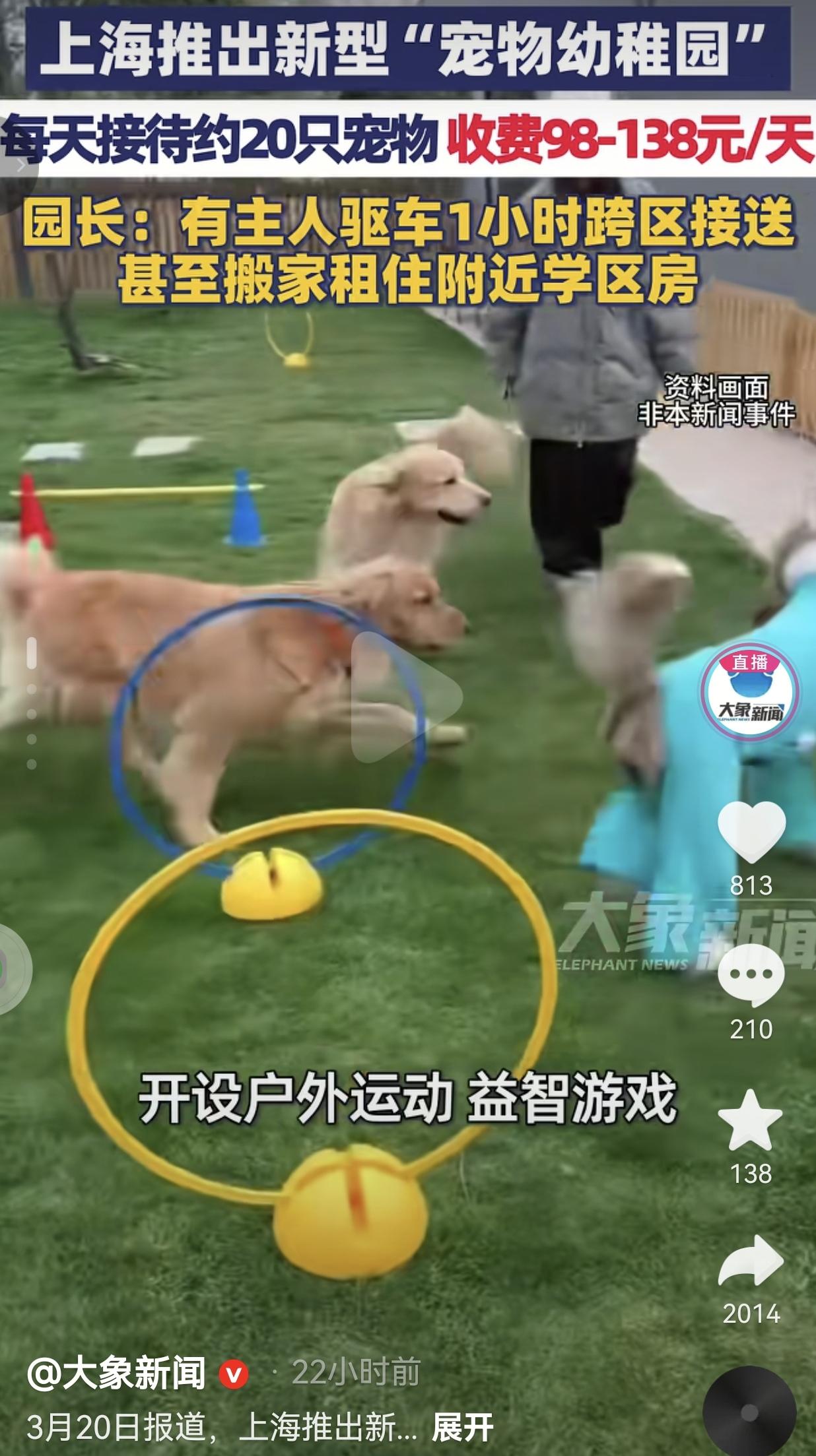 离谱！上海“宠物幼稚园”火了！有人跨区1小时送狗上学，甚至为它租学区房！家