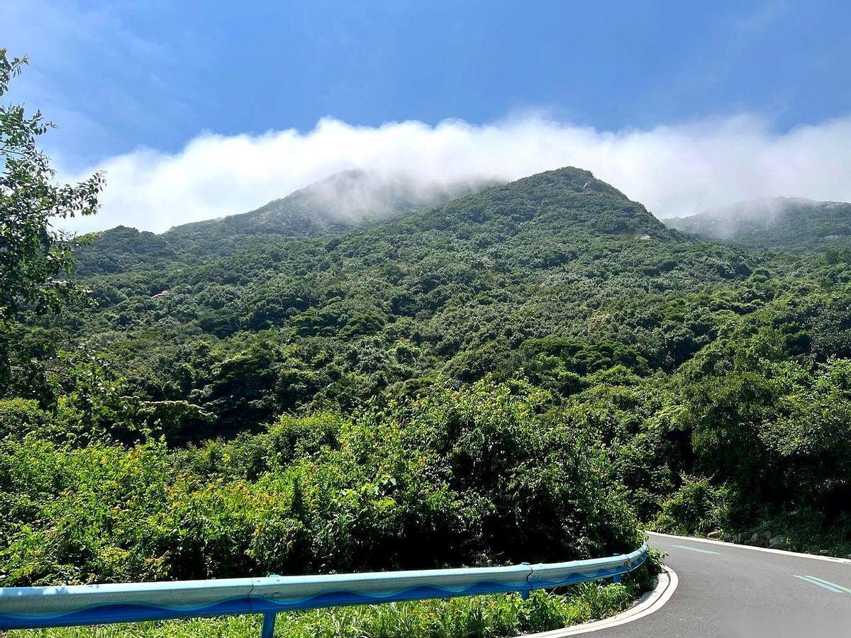 那个算命的跟我说，没事儿别老往庙里跑。他说那地方，都是走投无路、日子过不下去的