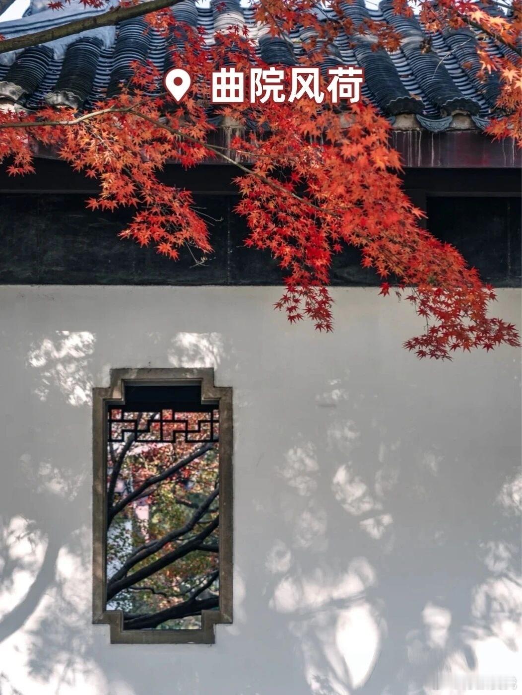 杭州的秋天，是神仙遗落人间的调色盘十一月底到十二月，风起桂落，接下来的杭州，即将