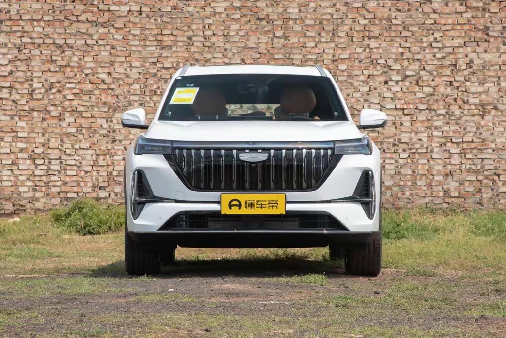 贯穿式车灯在夜色中亮起，31348位车主在刚刚过去的11月做出了同样的选择，让这